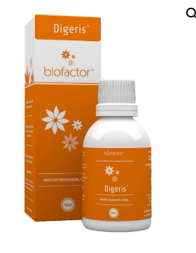 Digeris